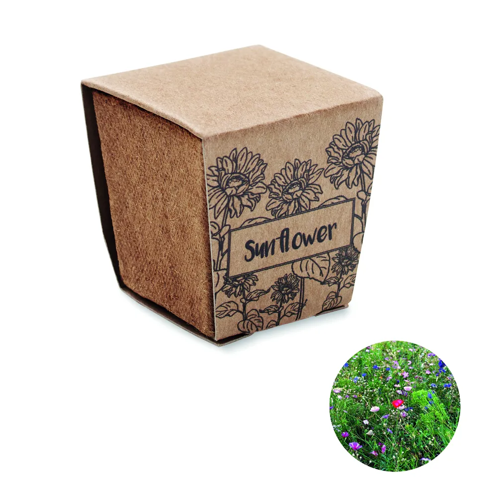 Sunflower Kit · Zonnebloem kweekset – Beige