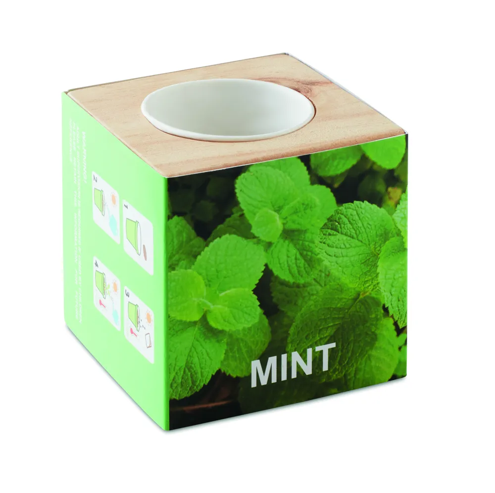 Menta · Kweekset, munt in houten pot – Hout