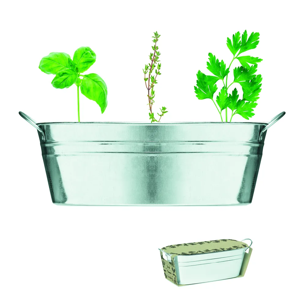 Mix Seeds · Zinken kuipje 3 zakjes – Mat zilver