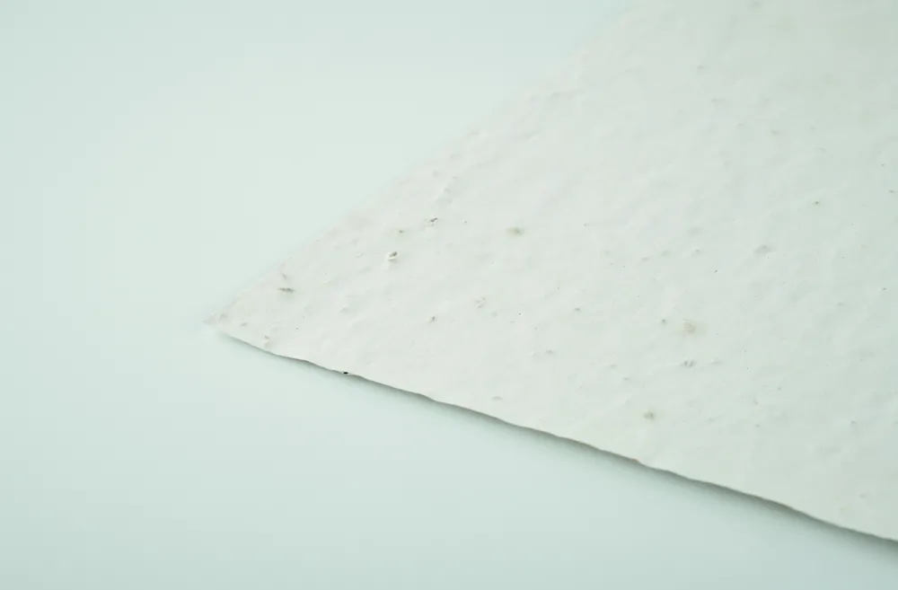 Aside · A5 zaadpapier wilde bloemen – Wit