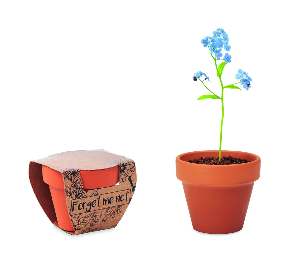 Forget Me Not · Potje Vergeet-me-nietjes – Hout