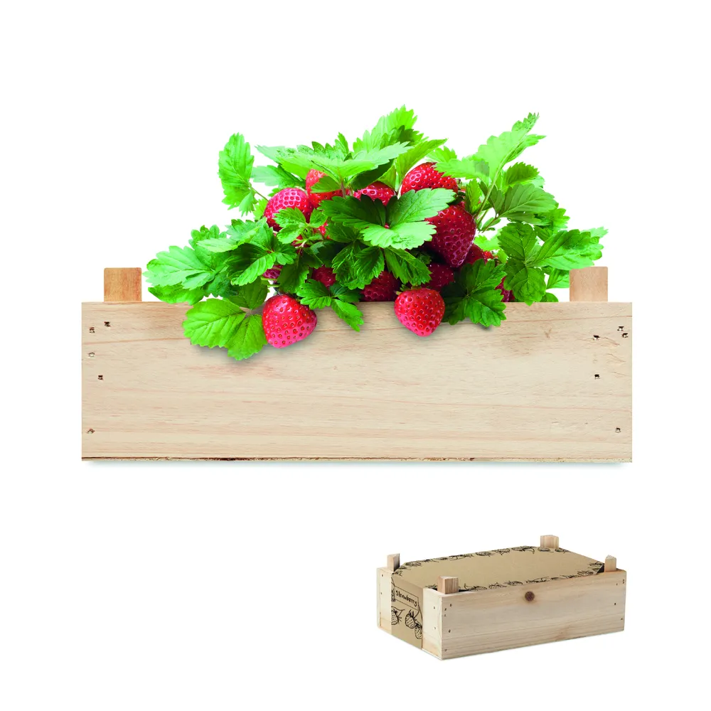 Strawberry · Aardbeienpakket in houten krat – Hout
