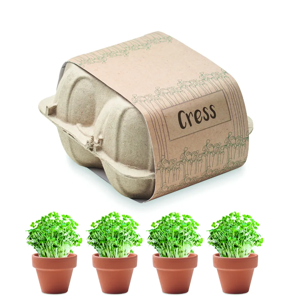 Cress · Kweekset in eierdoos – Beige
