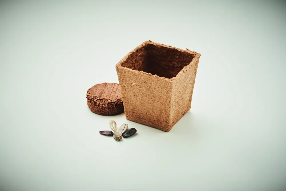 Sunflower Kit · Zonnebloem kweekset – Beige