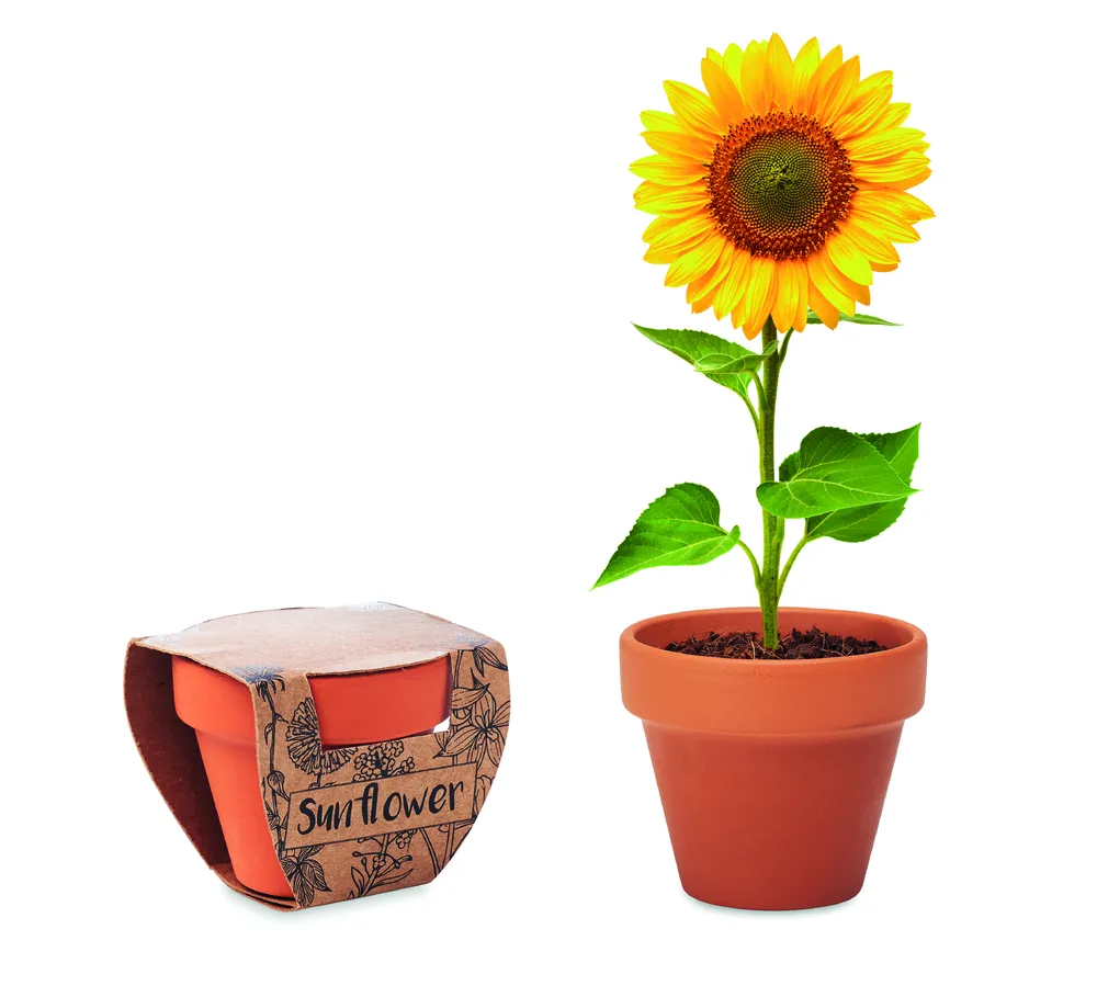 Sunflower · Potje Zonnebloem – Hout