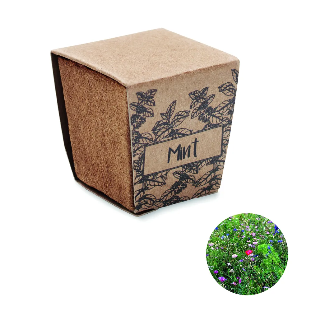 Mint Kit · Muntzaad kweekset – Beige