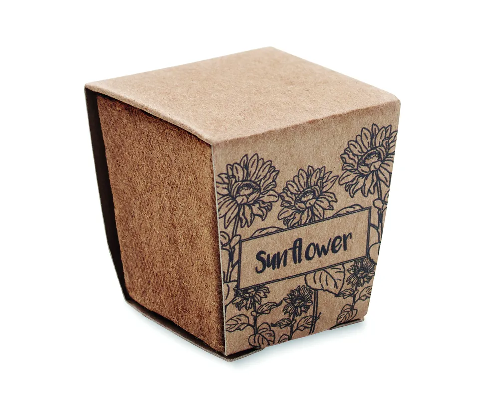 Sunflower Kit · Zonnebloem kweekset – Beige