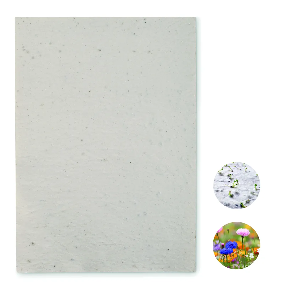 Asidi · A4 zaadpapier wilde bloemen – Wit