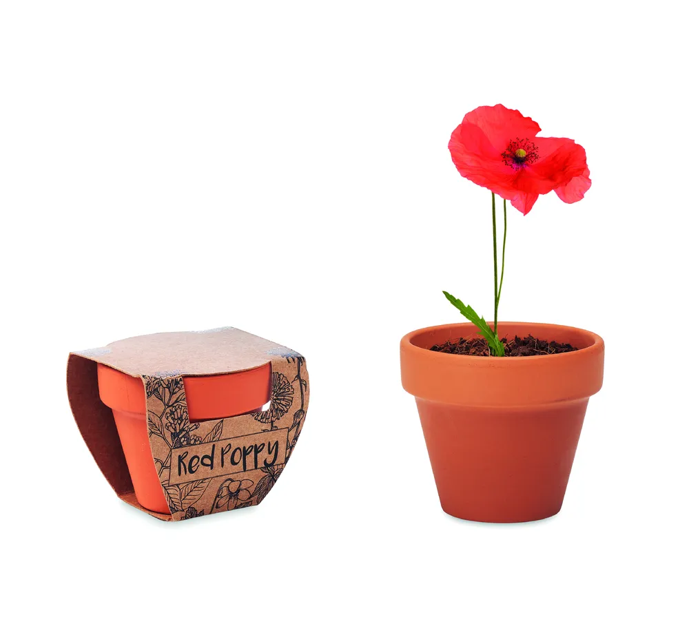 Red Poppy · Potje Klaproos – Hout