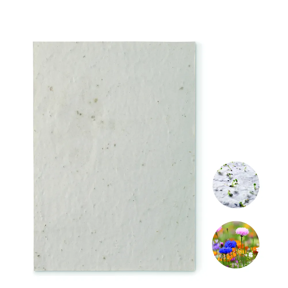 Aside · A5 zaadpapier wilde bloemen – Wit