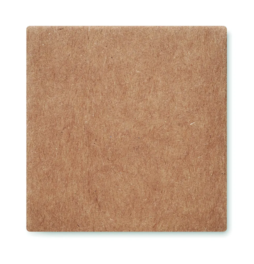 Sunflower Kit · Zonnebloem kweekset – Beige