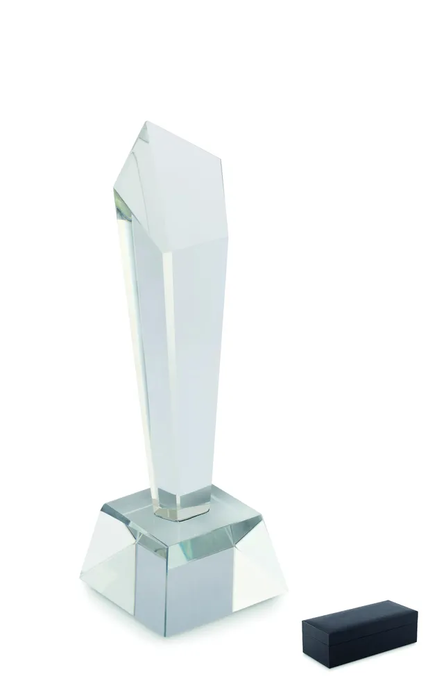 Diaward · Kristallen award geschenkdoos – Transparant