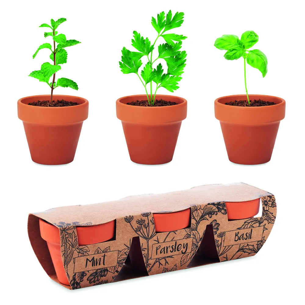Flowerpot · Kruidenpotjes set van 3 – Hout