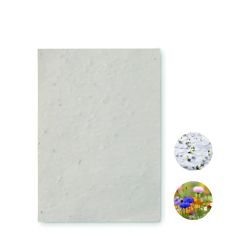 Asido · A6 zaadpapier wilde bloemen – Wit