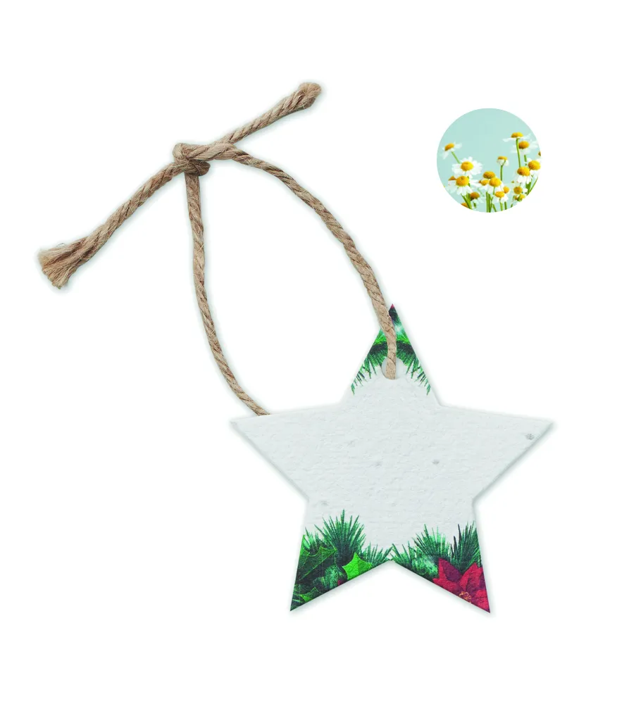Starseed · Zaadpapier kerstornament – Wit