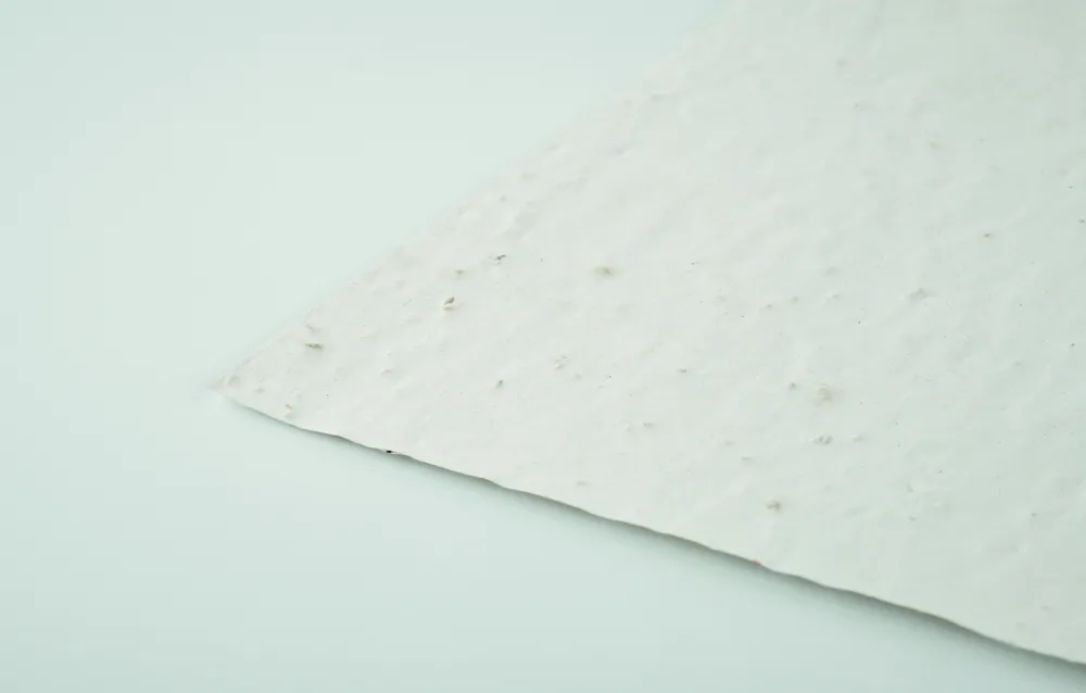 Asidi · A4 zaadpapier wilde bloemen – Wit