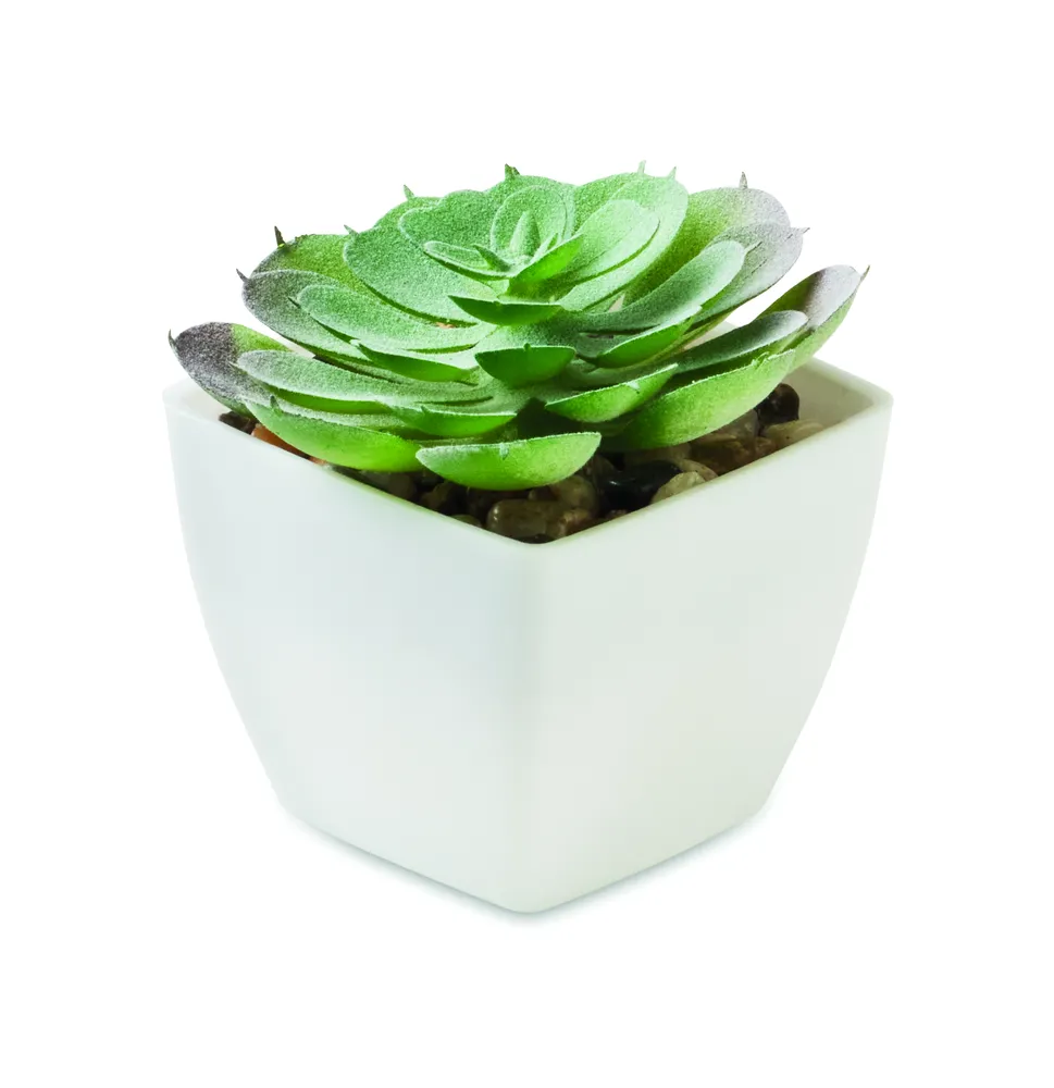 Artieche · Mini kunstplant – Wit