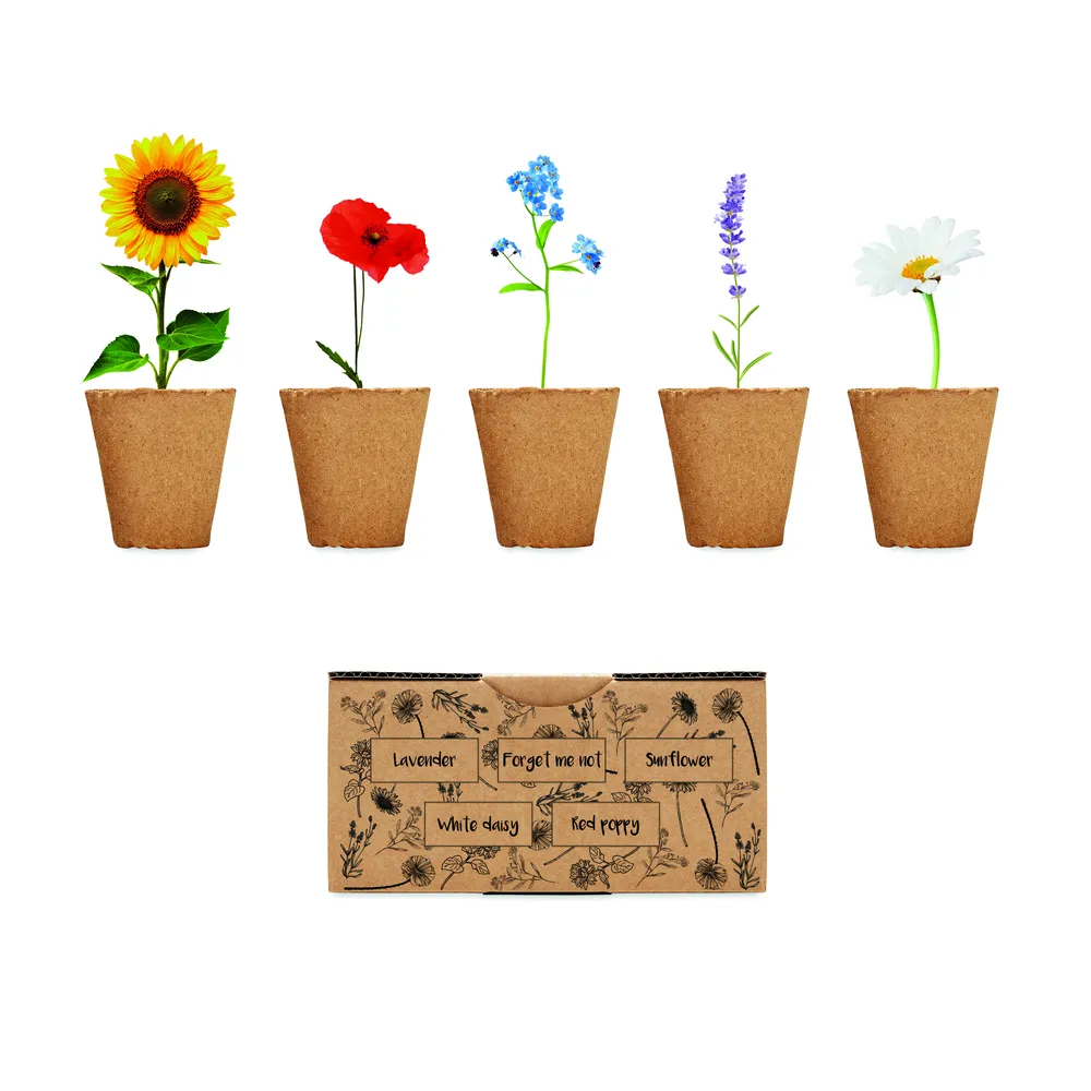 Flowers · Bloemen kweekset – Beige