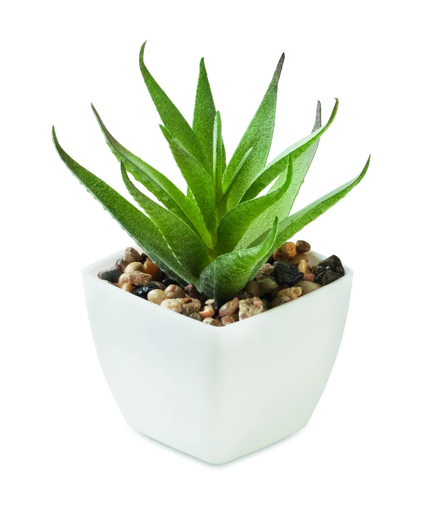 Artiloe · Mini kunstplant – Wit