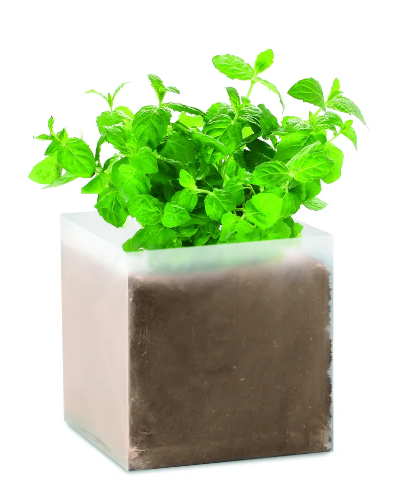 Mint · Compost met munt zaadjes – Beige