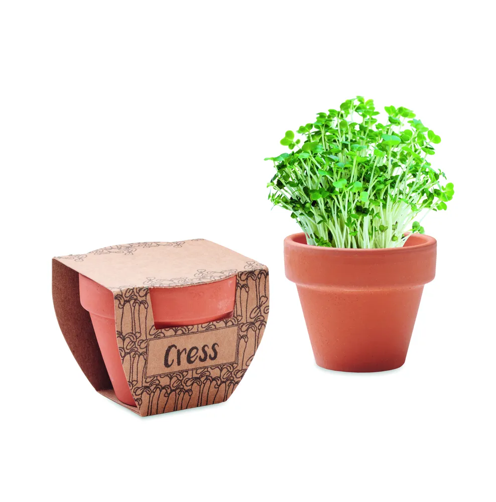 Cress Pot · Potje tuinkers – Hout