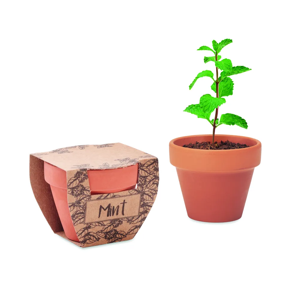 Mint Pot · Potje munt – Hout